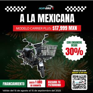 Bicicleta eléctrica Carrier Plus