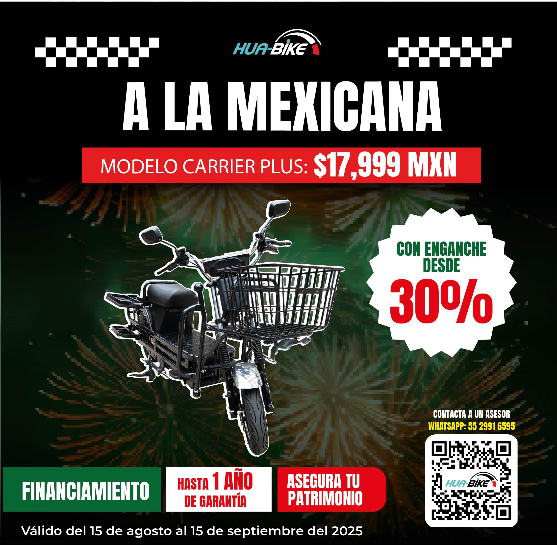 Bicicleta eléctrica Carrier Plus